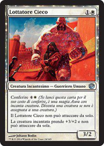 Lottatore Cieco / Sightless Brawler